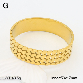 2BA202183bhia-434  Stainless Steel Bangle