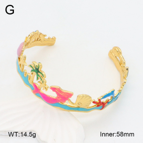 2BA300491bhbl-434  Stainless Steel Bangle