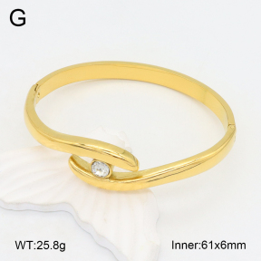 2BA402329vhha-434  Stainless Steel Bangle