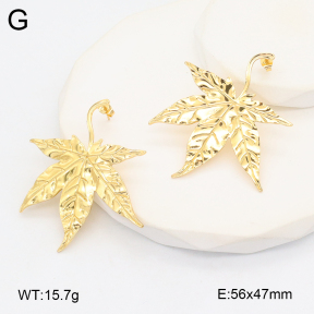 2E2006188aakl-434  Stainless Steel Earrings