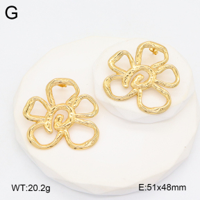 2E2006189vbll-434  Stainless Steel Earrings