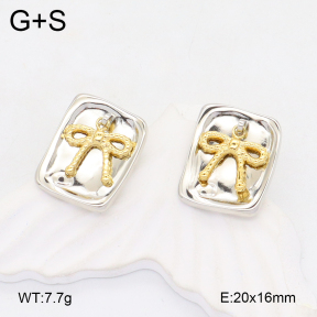 2E2006194vbmb-434  Stainless Steel Earrings