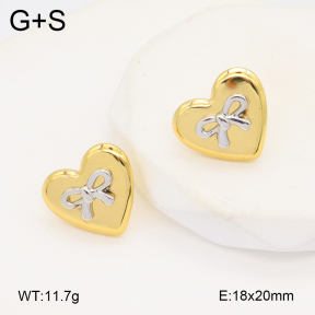 2E2006196vbmb-434  Stainless Steel Earrings
