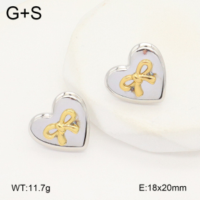2E2006197vbmb-434  Stainless Steel Earrings