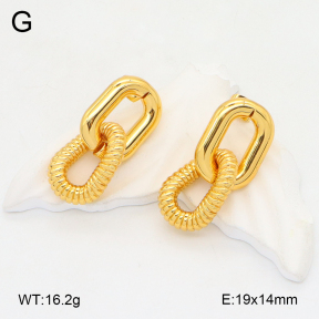 2E2006198vbll-434  Stainless Steel Earrings