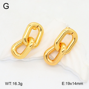2E2006199vbll-434  Stainless Steel Earrings