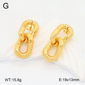2E2006200vbll-434  Stainless Steel Earrings