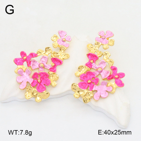 2E2006204bhva-434  Stainless Steel Earrings