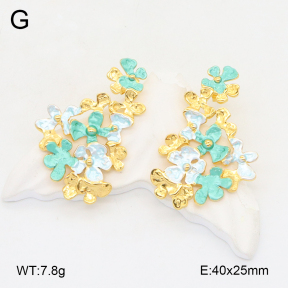 2E2006205bhva-434  Stainless Steel Earrings