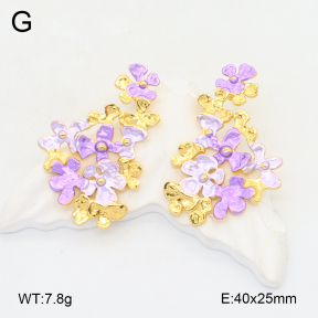 2E2006206bhva-434  Stainless Steel Earrings