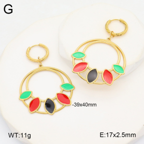 2E3003622vbpb-434  Stainless Steel Earrings