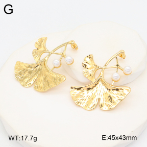 2E3003623vbll-434  Stainless Steel Earrings