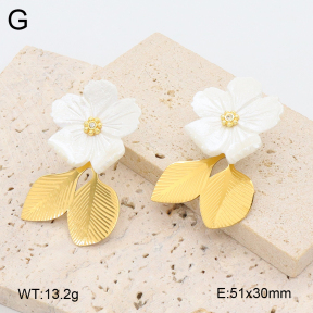 2E3003624bhbl-434  Stainless Steel Earrings