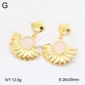 2E3003625bbml-434  Stainless Steel Earrings