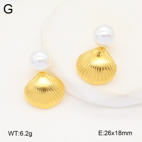 2E3003627ablb-434  Stainless Steel Earrings
