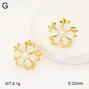 2E3003628vbmb-434  Stainless Steel Earrings