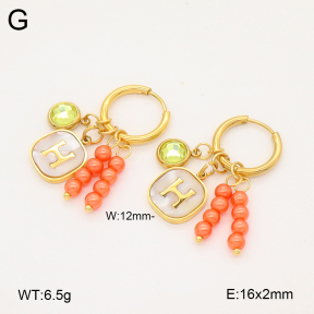 2E3003629vbnb-434  Stainless Steel Earrings