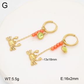 2E3003630vbnb-434  Stainless Steel Earrings