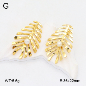 2E3003633aakl-434  Stainless Steel Earrings