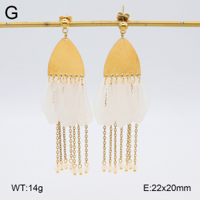 2E4004497bhil-434  Stainless Steel Earrings