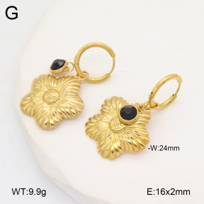 2E4004500vbmb-434  Stainless Steel Earrings