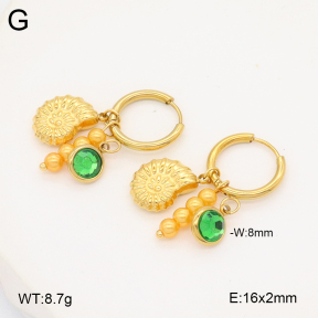 2E4004501vbnb-434  Stainless Steel Earrings