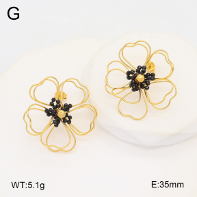 2E4004503bhva-434  Stainless Steel Earrings