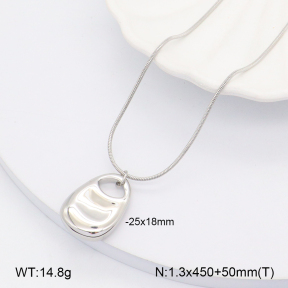 2N2006244vbpb-656  Stainless Steel Necklace