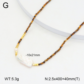 2N4004392aiov-684  Stainless Steel Necklace