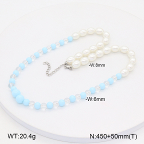 2N4004408bvpl-656  Stainless Steel Necklace