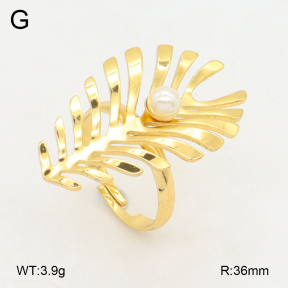 2R3000358aakl-434  Stainless Steel Ring