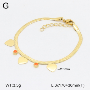 2B3004044vhha-656  Stainless Steel Bracelet