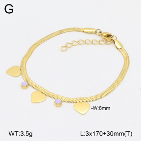 2B3004045vhha-656  Stainless Steel Bracelet