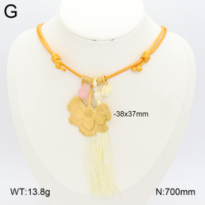 2N3002692bhia-669  Stainless Steel Necklace