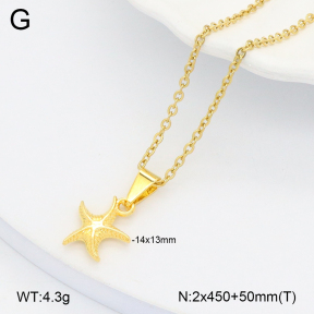 2N2006133aakl-452  Stainless Steel Necklace