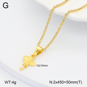 2N2006137aakl-452  Stainless Steel Necklace