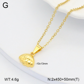 2N2006143aakl-452  Stainless Steel Necklace