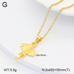 2N2006157aako-452  Stainless Steel Necklace