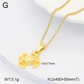2N2006195aako-452  Stainless Steel Necklace