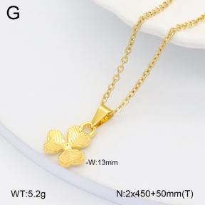 2N2006196aako-452  Stainless Steel Necklace