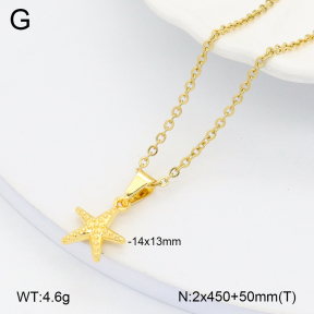 2N2006198aakl-452  Stainless Steel Necklace