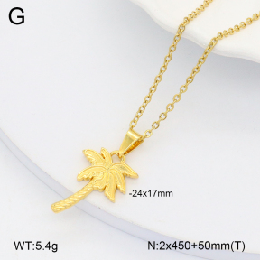 2N2006203ablb-452  Stainless Steel Necklace