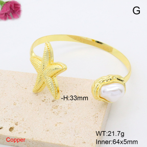 F6BA30227bhia-L017  Fashion Copper Bangle