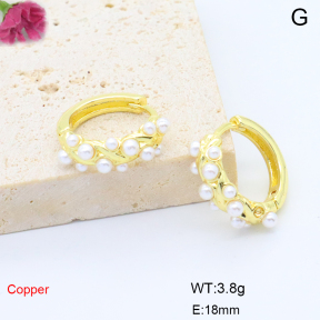 F6E302047vbmb-L017  Fashion Copper Earrings