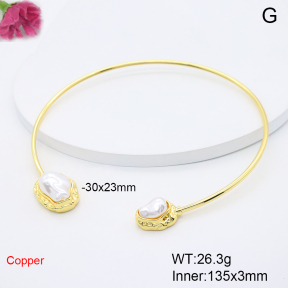 F6N301582ahlv-L017  Fashion Copper Necklace