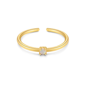 JR8520vhnl-Y30  925 Silver Ring  WT:0.56g  Inner:15.3mm  60108890011C