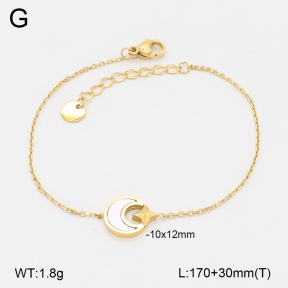 2B3004056vbnl-250  Stainless Steel Bracelet