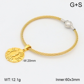 2BA202186bhva-722  Stainless Steel Bangle