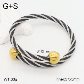 2BA202192bbov-387  Stainless Steel Bangle