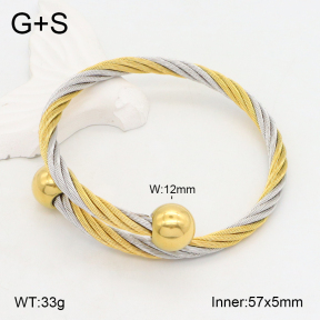 2BA202193abol-387  Stainless Steel Bangle